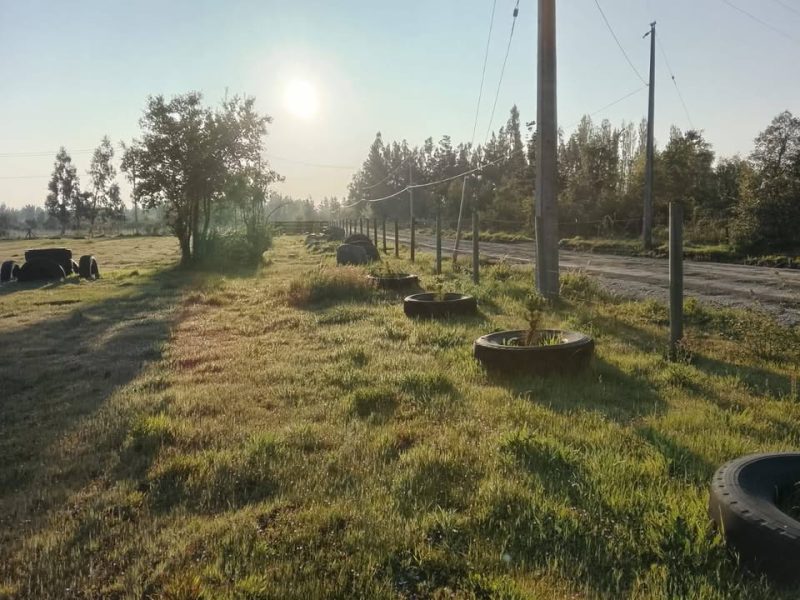 Parcela Sector Caliboro