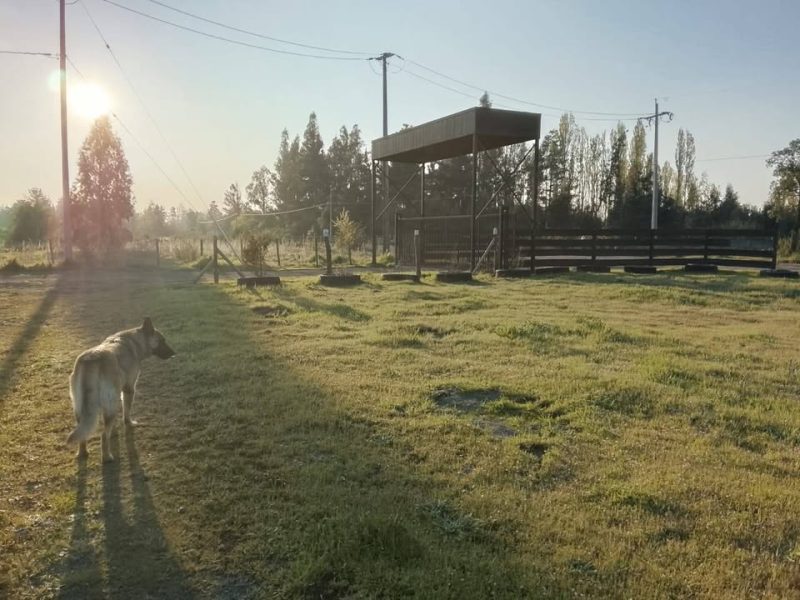 Parcela Sector Caliboro