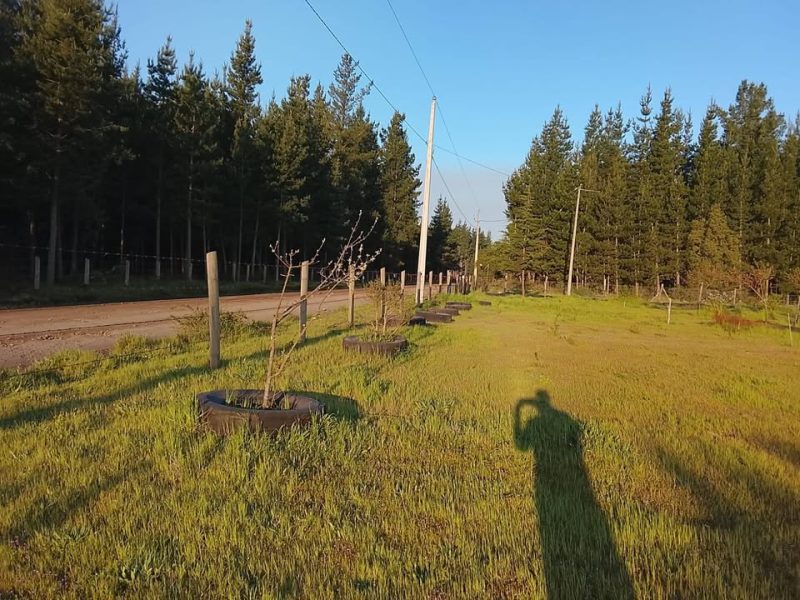 Parcela Sector Caliboro