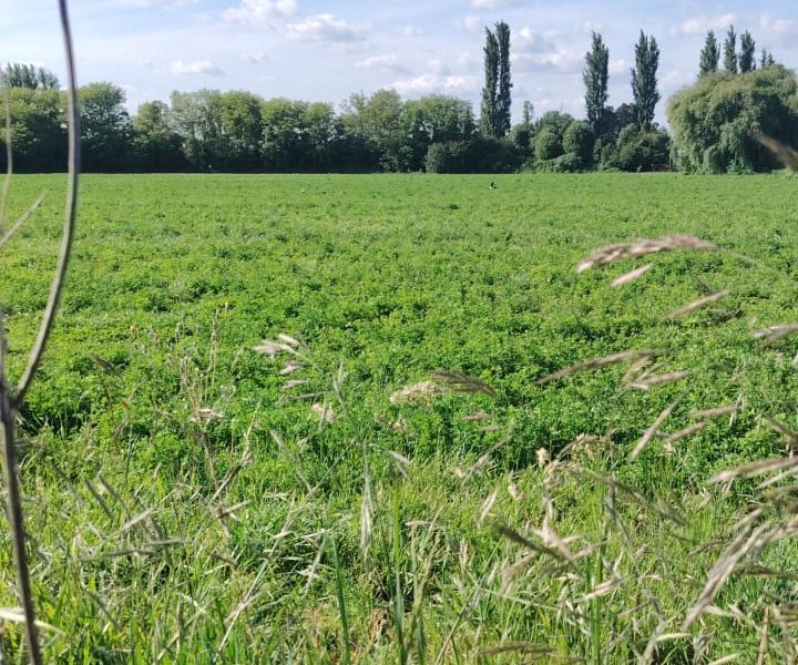 Parcelas camino Santa Bárbara 1,5km.