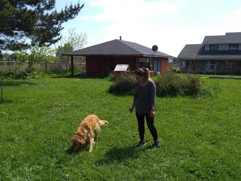 Casas en Parcela en Country Santa Eliana