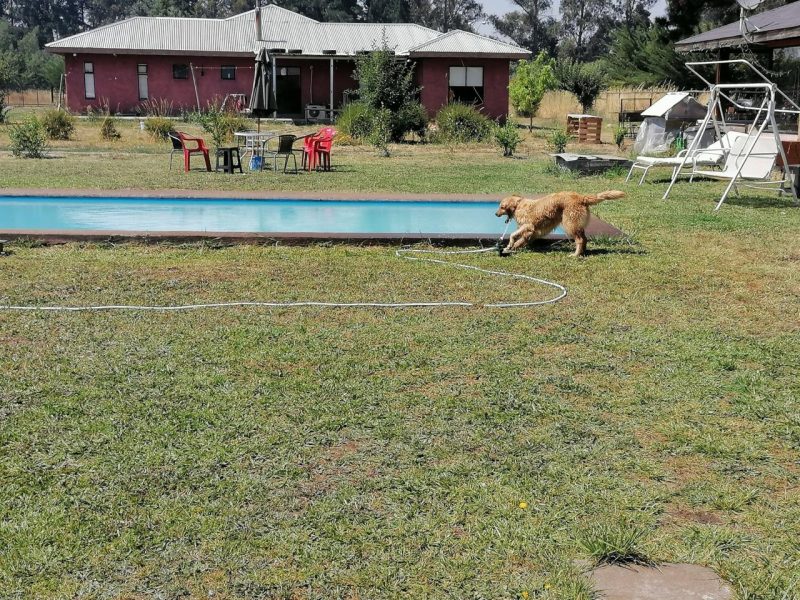 Casas en Parcela en Country Santa Eliana