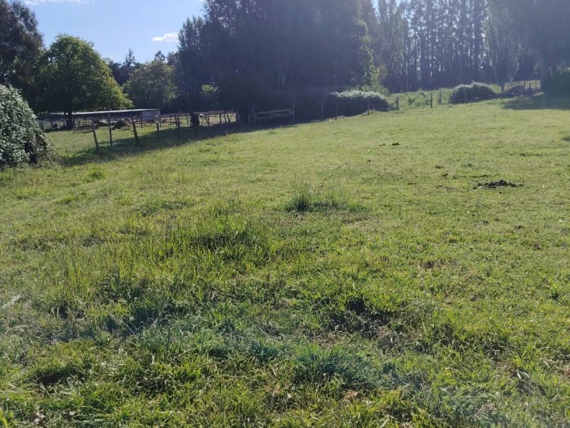 Parcelas camino Santa Bárbara 1,5km.