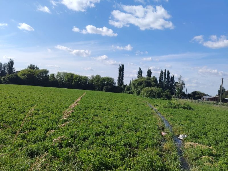Parcelas camino Santa Bárbara 1,5km.