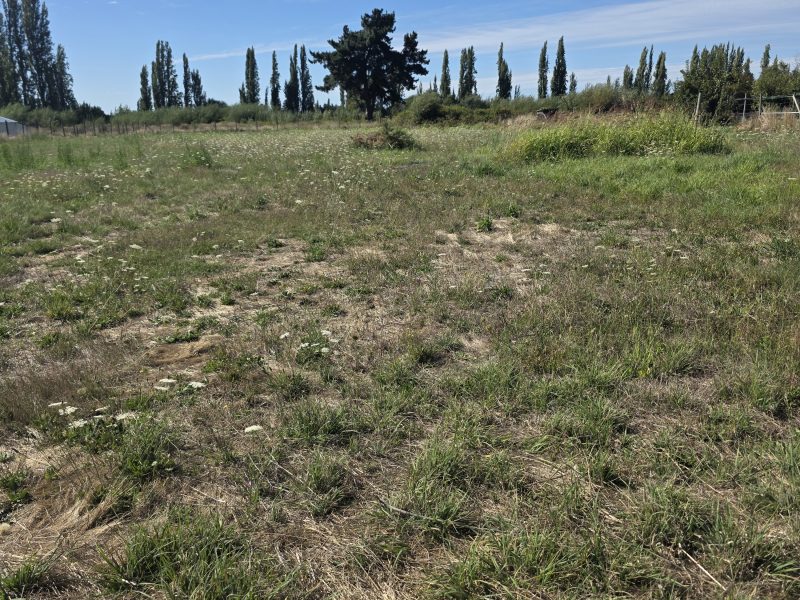 Parcela sector El Peral