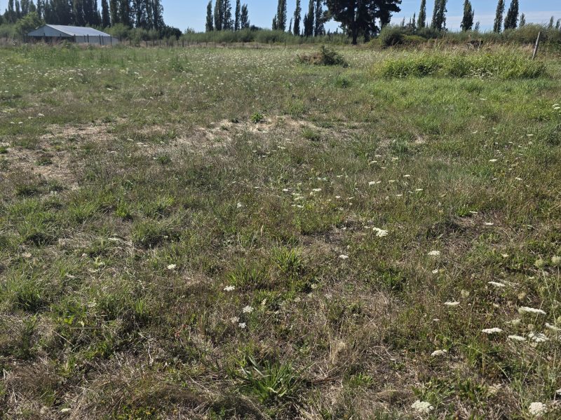 Parcela sector El Peral