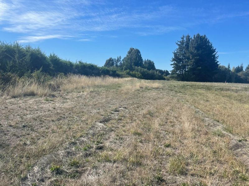 Parcela 5000 mt Country Santa Eliana