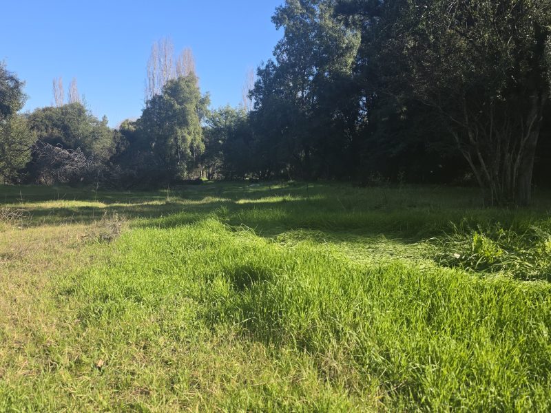 Proyecto camino Santa Barbara 3.5