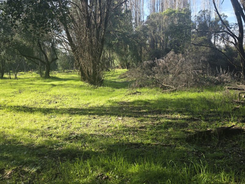 Proyecto camino Santa Barbara 3.5