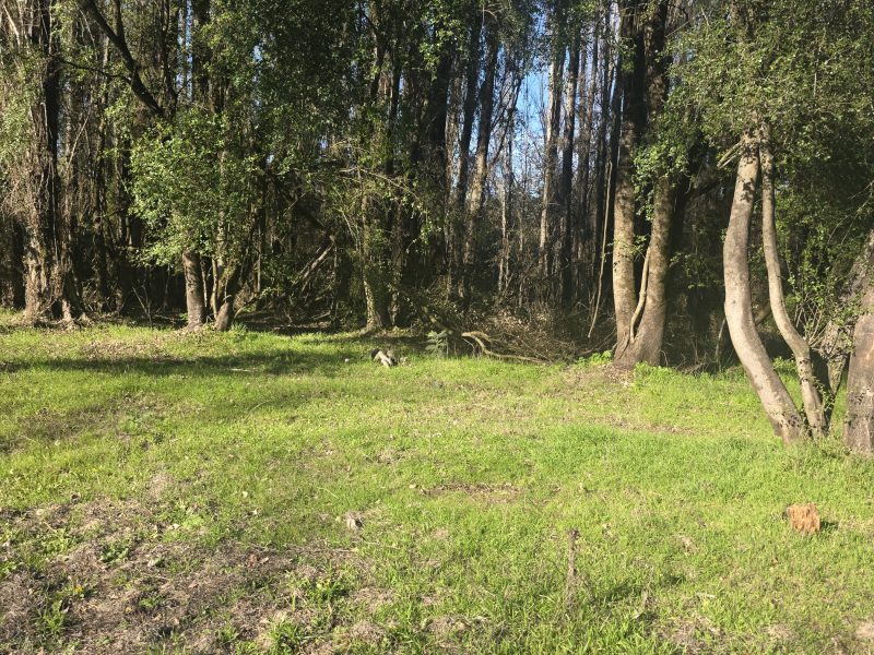 Proyecto camino Santa Barbara 3.5