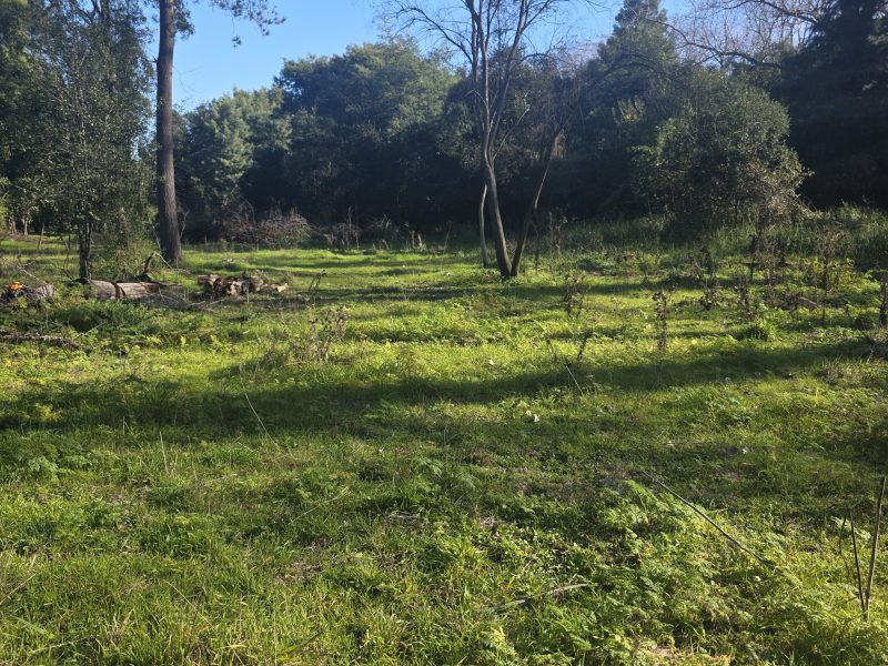 Proyecto camino Santa Barbara 3.5