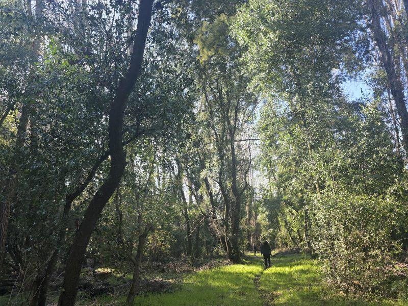 Proyecto camino Santa Barbara 3.5